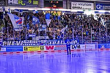 Eishockey, Herren, Penny DEL, 4. Spieltag, Saison 2023-2024, Straubing Tigers - Loewen Frankfurt,24.09.2023