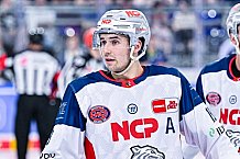 Eishockey, Herren, DEL, Penny DEL, Vorbereitung, Gäubodencup 2023, Saison 2023-2024, Straubing Tigers - Nürnberg Ice Tigers,18.08.2023