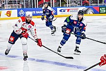 Eishockey, Men, CHL, Champions Hockey League, Regular Saison 2024-25, Game Day 4, Straubing Tigers - Dynamo Pardubice, 15.09.2024