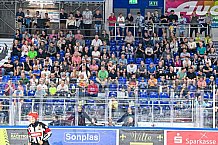 Eishockey, Herren, Penny DEL, Saison 2024-2024, Vorbereitung, Gäubodencup 2024, Straubing Tigers - ERC Ingolstadt, 29.08.2024