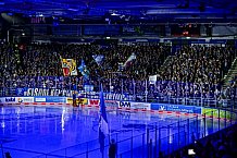 Eishockey, Men, DEL, Penny DEL, Hauptrunde Saison 2024-25, 1. Spieltag, Straubing Tigers - Düsseldorfer EG, 20.09.2024