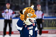 Eishockey, Herren, DEL, Saison 2021-2022, 07.11.2021