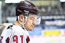 Eishockey, Herren, DEL, Saison 2020-2021, Straubing Tigers - Kölner Haie, 11.04.2021