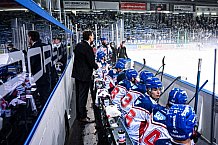 Eishockey, Herren, DEL, Saison 2021-2022, Straubing Tigers - Adler Mannheim, 10.09.2021