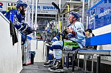 Eishockey, Herren, DEL, Penny DEL, Saison 2023-2024, Straubing Tigers, öffentliches Eistraining,06.08.2023
