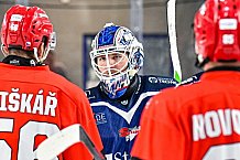 Eishockey, Herren, Penny DEL, Saison 2024-2024, Vorbereitung, Spiel um Platz 3 - Gäubodencup 2024, Straubing Tigers - Mountfield HK, 31.08.2024