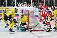 Herren, Eishockey, Oberliga-Süd, DEB, Saison 2024-2025, Deggendorfer SC - Tölzer Löwen, 22.09.2024