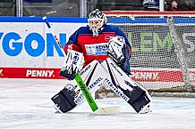 Eishockey, Herren, Penny DEL, 44. Spieltag, Saison 2023-2024, Straubing Tigers - Adler Mannheim,04.02.2024