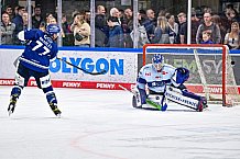 Eishockey, Herren, DEL, Penny DEL, Saison 2023-2024, Straubing Tigers, öffentliches Eistraining,06.08.2023
