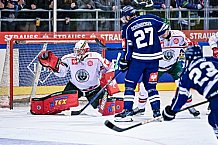 Eishockey, Herren, CHL, Champions Hockey League, Saison 2022-2023, Achtelfinale, Straubing Tigers - Frölunda HC Göteborg, Rückspiel, 22.11.2022
