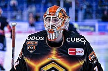 Eishockey, Herren, Penny DEL, DEL, Saison 2022-2023, Playoffs, Viertelfinale, Spiel 3, Straubing Tigers - Grizzlys Wolfsburg, 19.03.2023