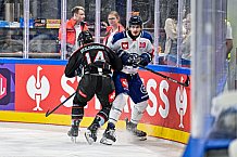 Eishockey, Men, CHL, Champions Hockey League, Regular Saison 2024-25, Game Day 1, Straubing Tigers - SonderjyskE Vojens, 06.09.2024