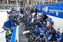 Eishockey, Herren, Penny DEL, Playoffs, Viertelfinale, Spiel 7, Saison 2023-2024, Straubing Tigers - Schwenninger Wild Wings,30.03.2024