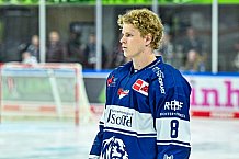 Eishockey, Herren, Penny DEL, 1. Spieltag, Saison 2023-2024, Straubing Tigers - Fischtown Pinguins Bremerhaven,15.09.2023