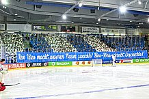 Eishockey, CHL, Champions Hockey League, 3. Spieltag, Saison 2022-2023, Gruppe F, Straubing Tigers - Comrach Cracovia, 09.09.2022