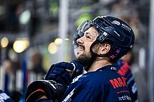 Eishockey, Herren, DEL, Saison 2021-2022, 10.10.2021