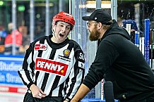 Eishockey, Herren, Penny DEL, 12. Spieltag, Saison 2023-2024, Straubing Tigers - Duesseldorfer EG,20.10.2023
