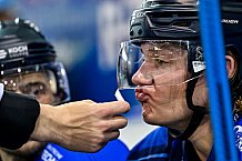 Eishockey, DEL, Penny-DEL, Vorbereitung, Straubing Tigers - HC Lugano, Gäubodencup 2022, 18.08.2022