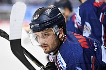 Straubing Tigers - ERC Ingolstadt