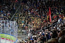 Eishockey, Men, DEL, Penny DEL, Hauptrunde Saison 2024-25, 1. Spieltag, Straubing Tigers - Düsseldorfer EG, 20.09.2024