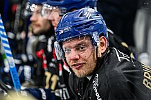 Eishockey, Herren, Penny DEL, 22. Spieltag, Saison 2023-2024, Straubing Tigers - Fischtown Pinguins Bremerhaven,26.11.2023