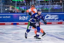 Eishockey, Herren, Penny DEL, DEL, Saison 2022-2023, Playoffs, Viertelfinale, Spiel 7, Straubing Tigers - Grizzlys Wolfsburg, 29.03.2023