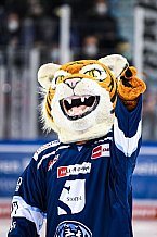 Eishockey, Herren, DEL, Saison 2021-2022, Straubing Tigers - Adler Mannheim, 10.09.2021