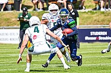 American Football, Herren, Shark Water GFL, Saison 2022, Straubing Spiders -  Unicorns Schwäbisch Hall, 10.06.2022