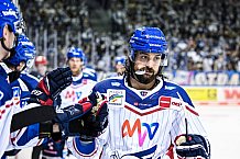 Eishockey, Herren, DEL, Saison 2021-2022, Straubing Tigers - Adler Mannheim, 10.09.2021