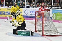 Herren, Eishockey, Oberliga-Süd, DEB, Saison 2024-2025, Deggendorfer SC - Tölzer Löwen, 22.09.2024