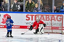 Eishockey, Men, DEL, Penny DEL,  Straubing Tigers - Kids on Ice, 28.09.2024