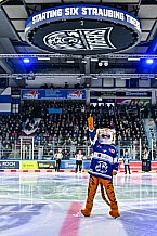 Eishockey, Herren, Penny DEL, 44. Spieltag, Saison 2023-2024, Straubing Tigers - Adler Mannheim,04.02.2024