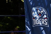 Eishockey, Herren, DEL, Saison 2021-2022, Straubing Tigers, 14.08.2021