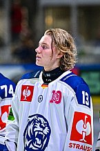Eishockey, Men, CHL, Champions Hockey League, Regular Saison 2024-25, Game Day 1, Straubing Tigers - SonderjyskE Vojens, 06.09.2024