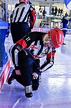 Eishockey, Herren, Penny DEL, DEL, Saison 2022-2023, Playoffs, Viertelfinale, Spiel 3, Straubing Tigers - Grizzlys Wolfsburg, 19.03.2023