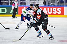 Eishockey, Men, CHL, Champions Hockey League, Regular Saison 2024-25, Game Day 1, Straubing Tigers - SonderjyskE Vojens, 06.09.2024