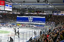 Eishockey, Herren, Penny DEL, 17. Spieltag, Saison 2023-2024, Straubing Tigers - EHC Red Bull Muenchen,03.11.2023