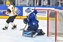 Eishockey, Men, CHL, Champions Hockey League, Regular Saison 2024-25, Game Day 2, Straubing Tigers - Skelleftea AIK, 08.09.2024