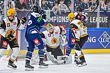 Eishockey, Men, CHL, Champions Hockey League, Regular Saison 2024-25, Game Day 2, Straubing Tigers - Skelleftea AIK, 08.09.2024