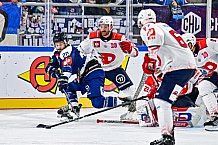 Eishockey, Men, CHL, Champions Hockey League, Regular Saison 2024-25, Game Day 4, Straubing Tigers - Dynamo Pardubice, 15.09.2024