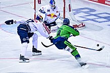 Eishockey, Herren, DEL, Saison 2022-2023, Hauptrunde, Straubing Tigers - EHC Red Bull München, 13. Spieltag, 21.10.2022
