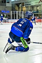 Eishockey, DEL, Penny-DEL, Vorbereitung, Straubing Tigers - Steinbach Black Wings Linz, 25.08.2022