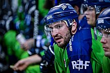 Eishockey, Herren, DEL, Saison 2022-2023, Hauptrunde, Straubing Tigers - EHC Red Bull München, 13. Spieltag, 21.10.2022