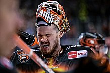 Eishockey, Herren, Penny DEL, DEL, Saison 2022-2023, Playoffs, Viertelfinale, Spiel 1, Straubing Tigers - Grizzlys Wolfsburg, 14.03.2023