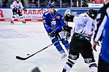 Eishockey, Herren, Penny DEL, DEL, Saison 2022-2023, Hauptrunde, Straubing Tigers - Kölner Haie, 29. Spieltag, 11.12.2022