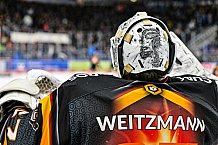 Eishockey, Herren, Penny DEL, 52. Spieltag, Saison 2023-2024, Straubing Tigers - Grizzlys Wolfsburg,08.03.2024