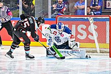 Eishockey, Men, CHL, Champions Hockey League, Regular Saison 2024-25, Game Day 1, Straubing Tigers - SonderjyskE Vojens, 06.09.2024