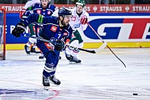 Eishockey, Herren, CHL, Champions Hockey League, Saison 2022-2023, Achtelfinale, Straubing Tigers - Frölunda HC Göteborg, Rückspiel, 22.11.2022