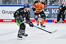 Eishockey, Herren, Penny DEL, 52. Spieltag, Saison 2023-2024, Straubing Tigers - Grizzlys Wolfsburg,08.03.2024