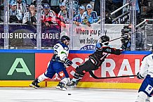 Eishockey, Men, CHL, Champions Hockey League, Regular Saison 2024-25, Game Day 1, Straubing Tigers - SonderjyskE Vojens, 06.09.2024